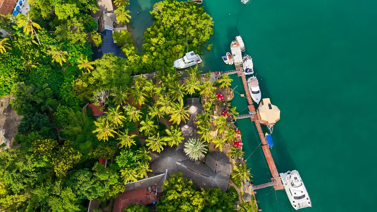 Shaping a Green Future